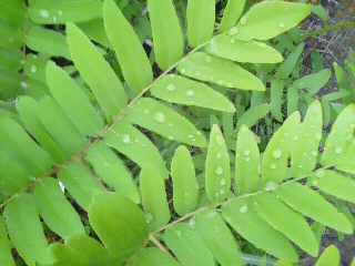 c0272200_1026281.jpg