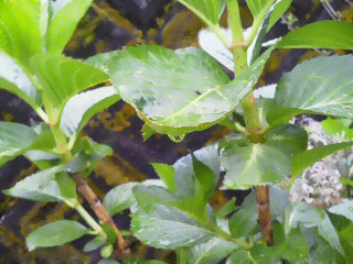 c0272200_10281820.jpg