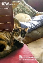 c0041201_957465.jpg