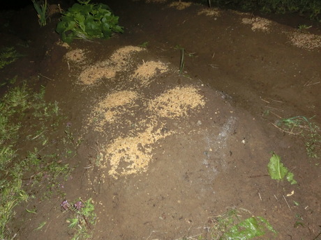 a0203003_1952125.jpg