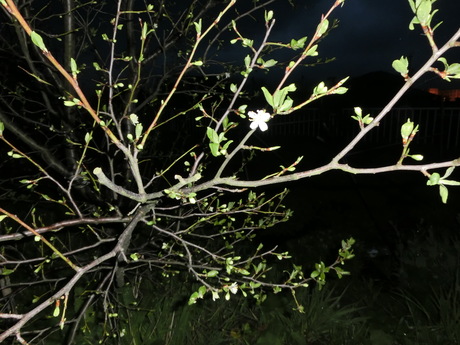 a0203003_20122345.jpg
