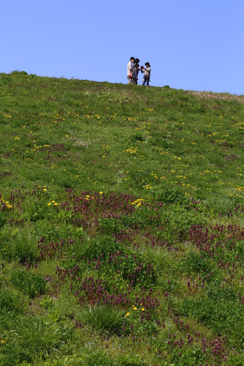 a0155104_2252967.jpg