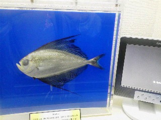 c0048004_17102773.jpg