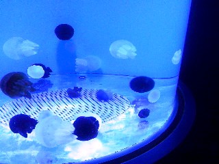 c0048004_17113889.jpg