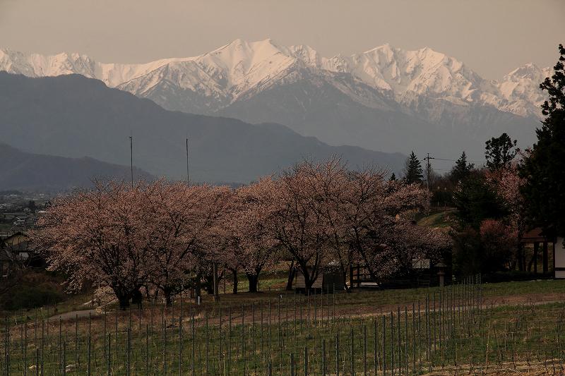 a0188405_1511669.jpg