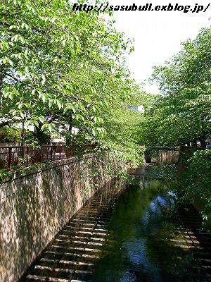 e0145805_1912660.jpg