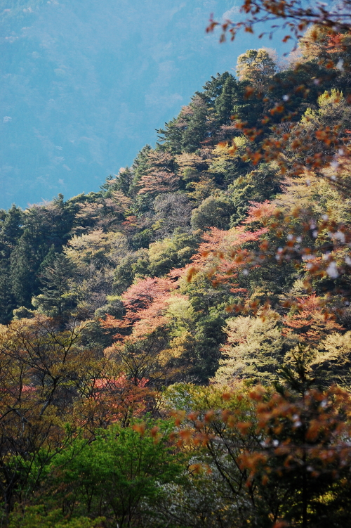 f0248120_2353366.jpg