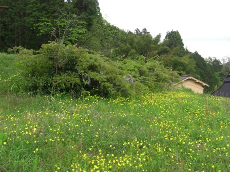 d0167621_2324208.jpg