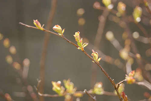 c0184125_2012236.jpg