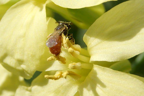 c0184125_2021080.jpg