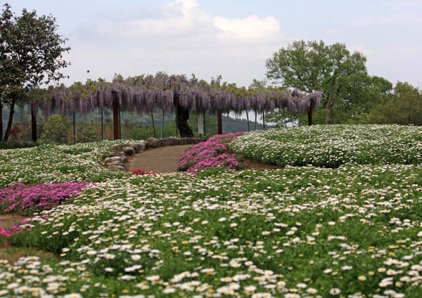 f0147025_2250547.jpg