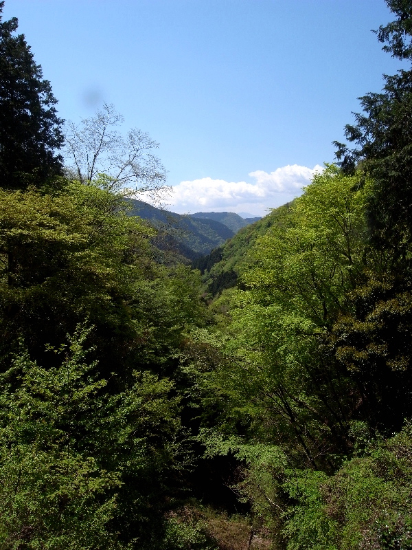 f0103126_20482864.jpg