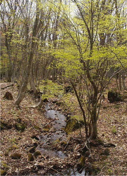 b0211627_17232754.jpg