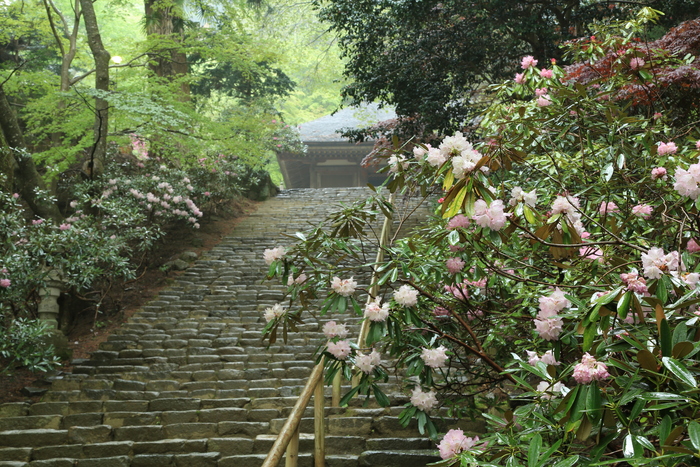 d0283427_17581786.jpg
