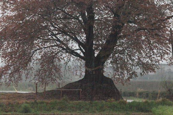 c0280729_16165796.jpg