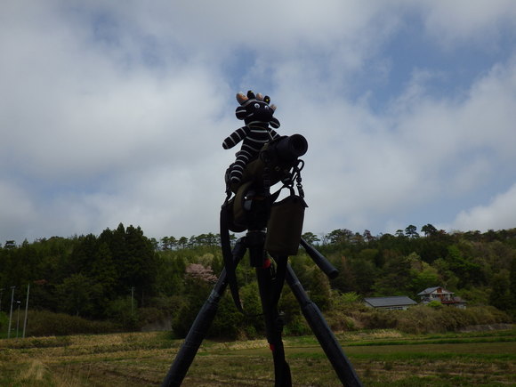 f0118332_23415856.jpg