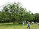 e0069234_16342516.jpg