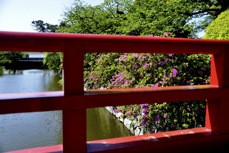 b0042837_21165589.jpg