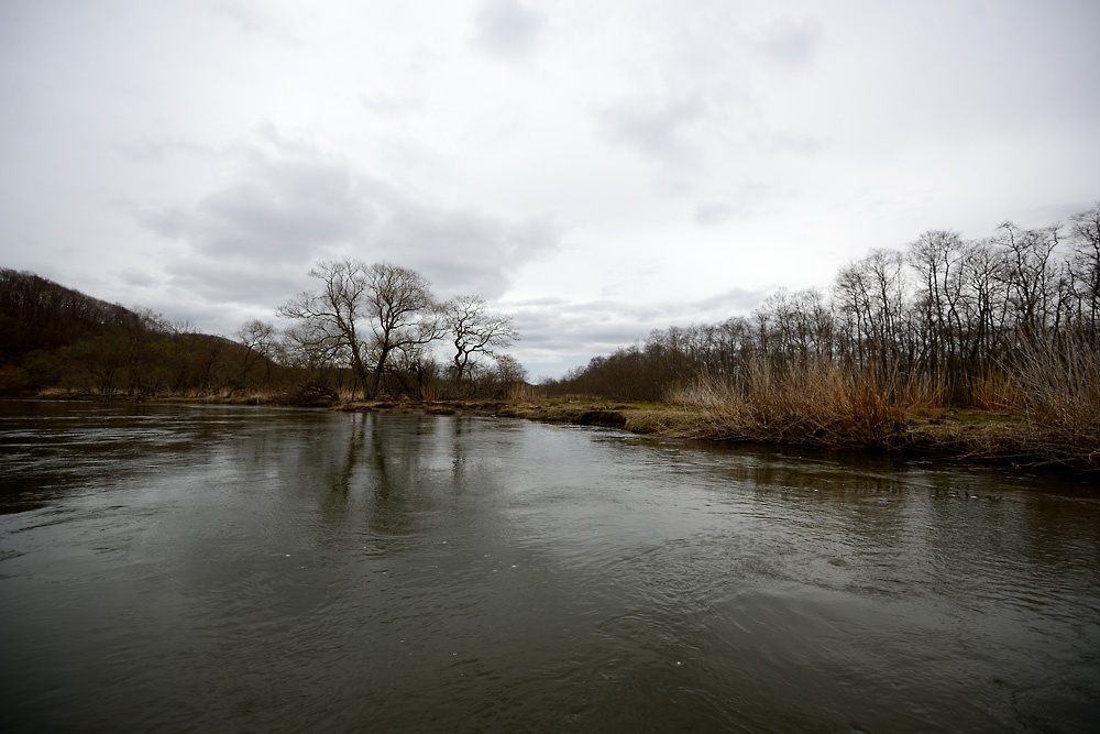 c0221838_111430.jpg
