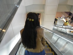 c0180341_518454.jpg