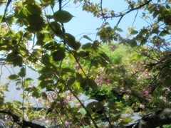 d0194741_10115181.jpg