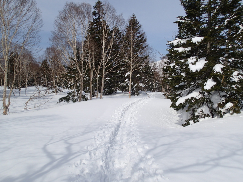 b0190242_13111531.jpg
