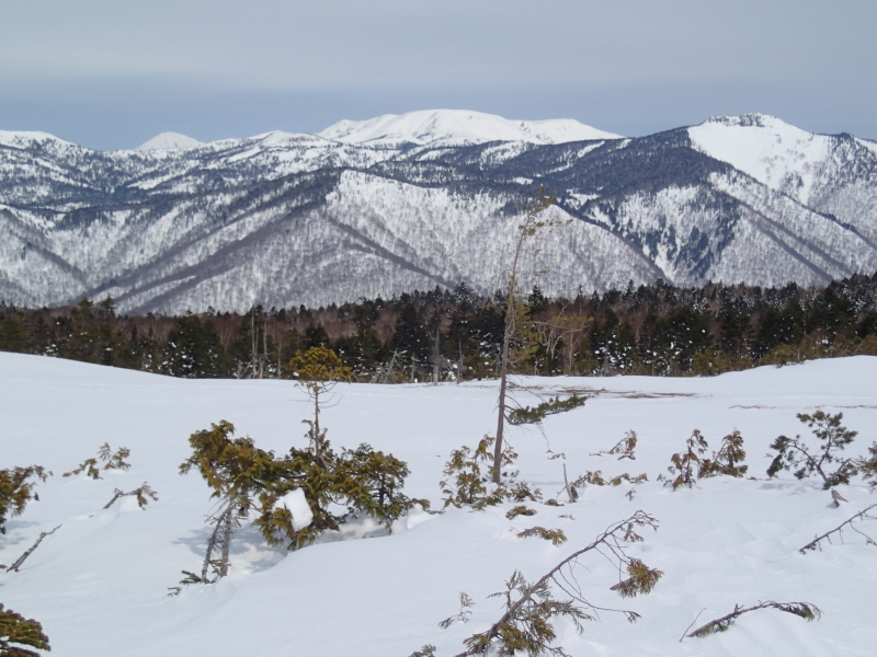 b0190242_13141537.jpg