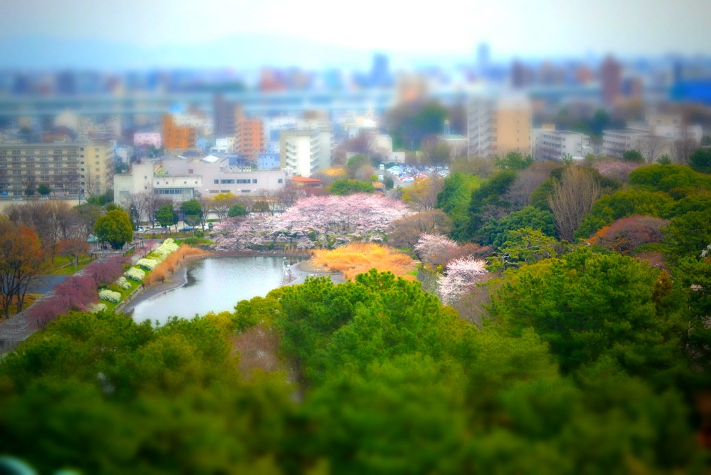 a0055650_773646.jpg