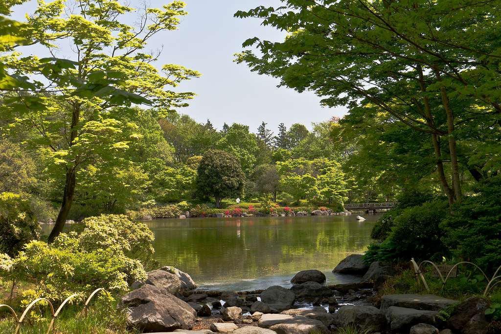 f0044056_723172.jpg