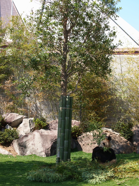 c0186760_2051170.jpg