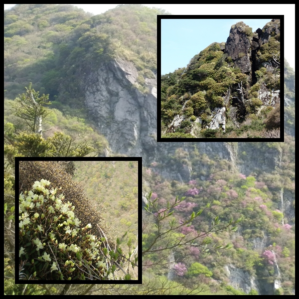 c0042869_61546.jpg