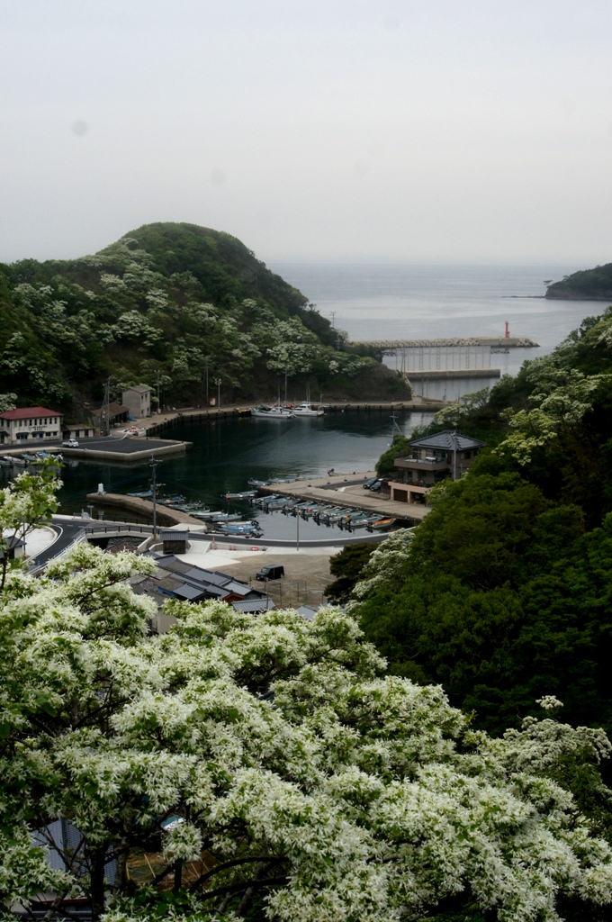 f0207669_1331274.jpg
