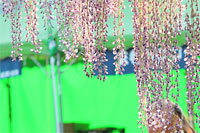 c0152779_055747.jpg