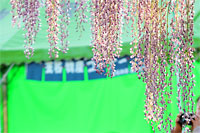 c0152779_06208.jpg