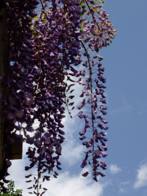 e0145782_18105888.jpg