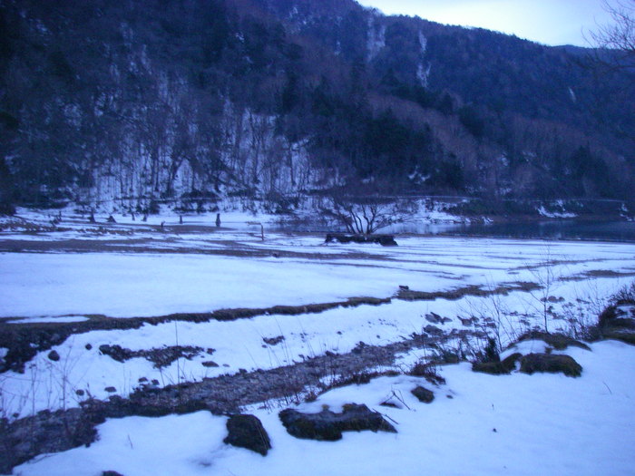c0136486_12202711.jpg
