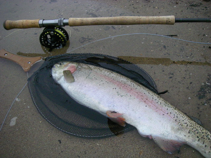 c0136486_12564065.jpg