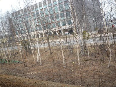 e0194987_20461789.jpg