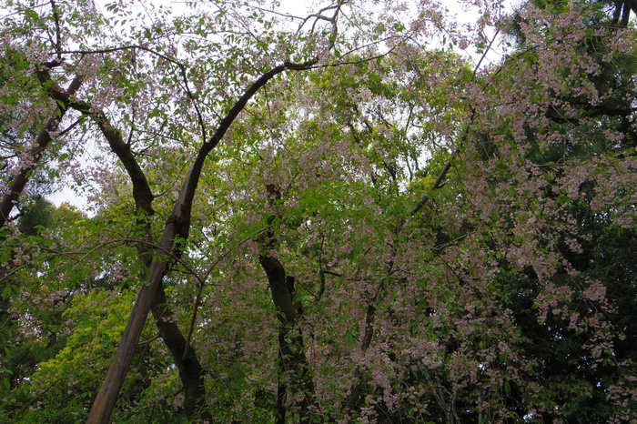 a0127090_9512189.jpg