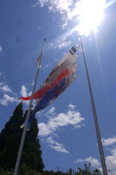 f0222692_20192027.jpg