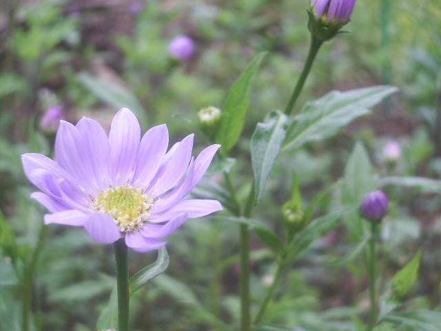 e0025300_14155680.jpg