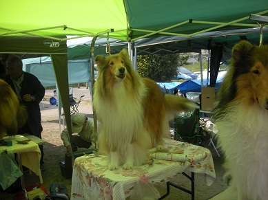 f0081100_832359.jpg