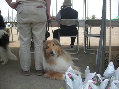 f0081100_83255.jpg