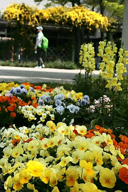 f0083400_1215235.jpg