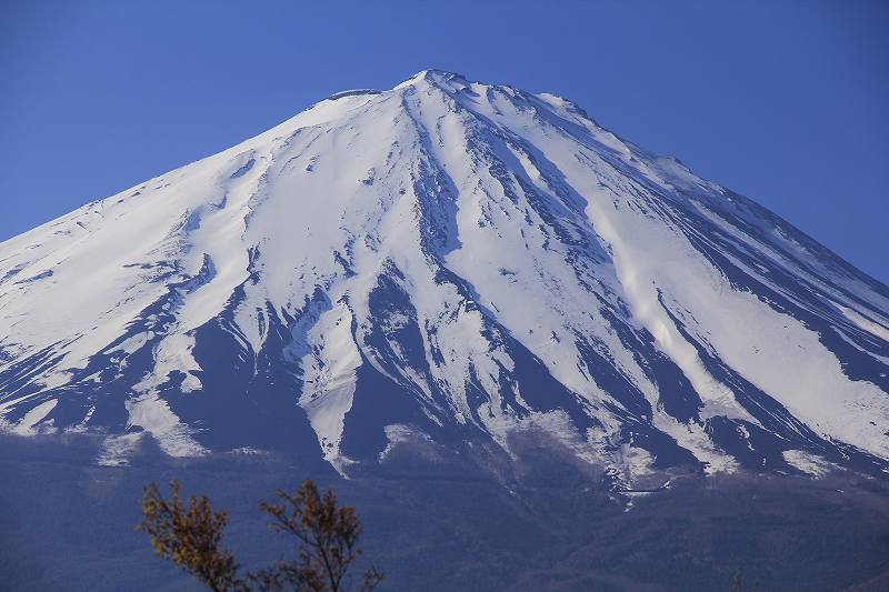 a0188405_1005412.jpg