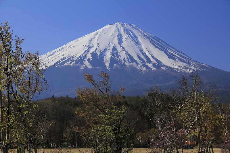 a0188405_100572.jpg