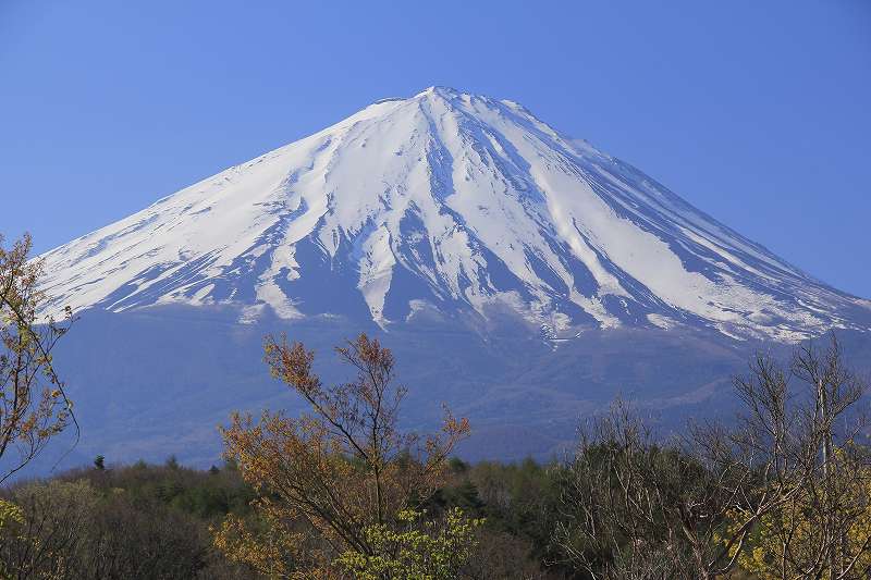 a0188405_10098.jpg