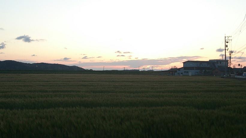 d0166614_21583656.jpg