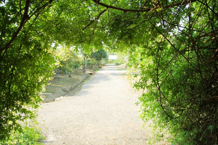 e0298415_21341451.jpg