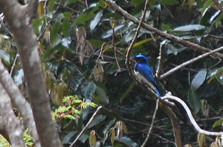 f0248120_022895.jpg